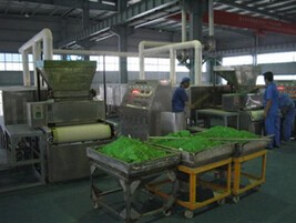 脱水蔬菜带式干燥机